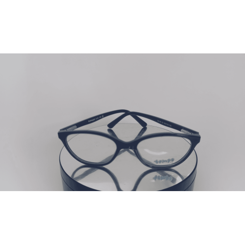TEMPOT2138C2