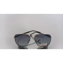 Polar EaglePE8716