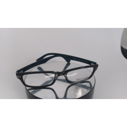 VIGOSS1006C0198