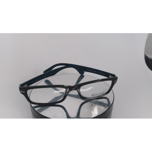 VIGOSS1006C0198